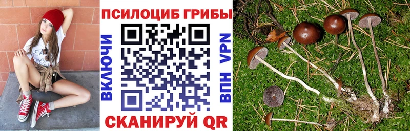 как найти закладки  KRAKEN ССЫЛКА  Галлюциногенные грибы Psilocybine cubensis  Братск 