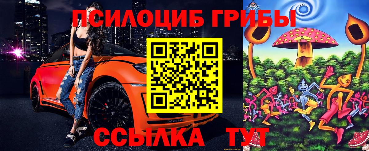 Галлюциногенные грибы Psilocybine cubensis Братск