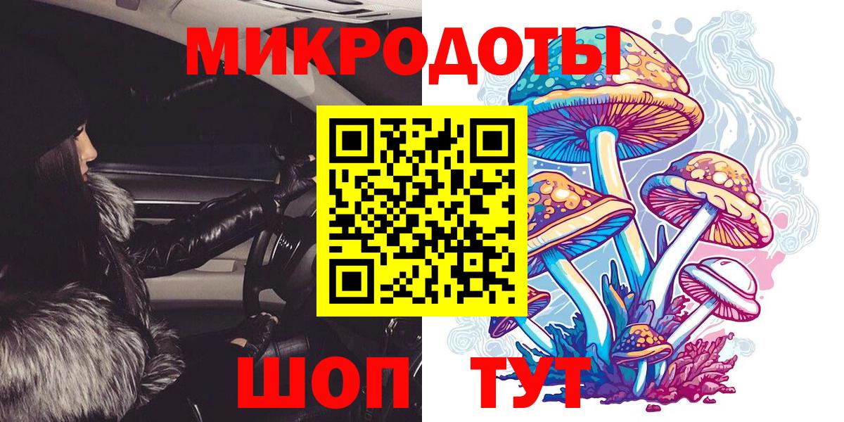 Псилоцибиновые грибы Magic Shrooms  Братск  купить наркотики цена  Галлюциногенные грибы ЛСД 