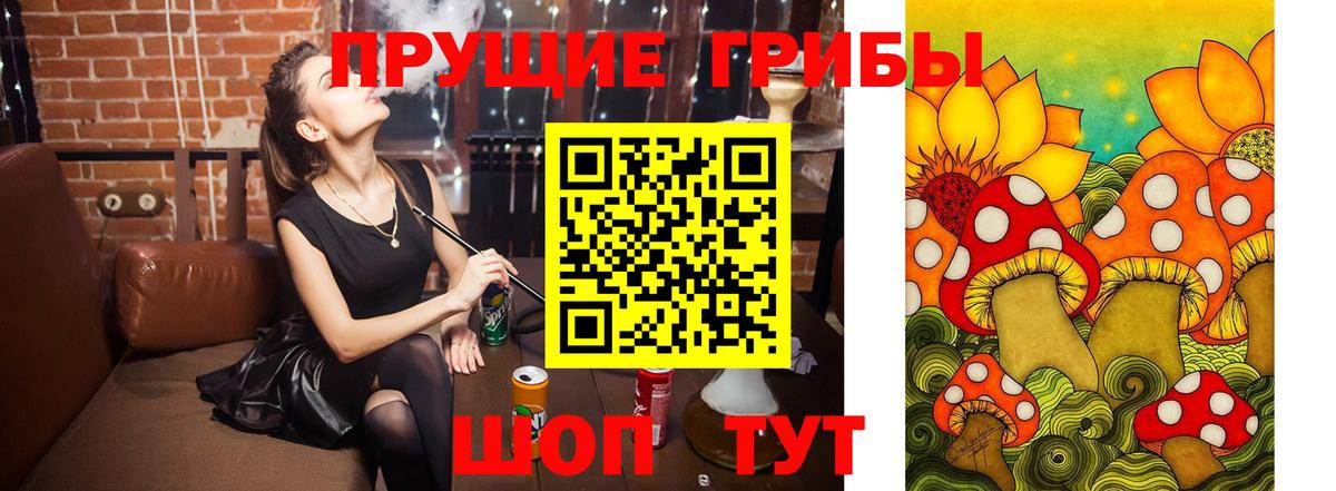 Братск  Псилоцибиновые грибы MAGIC MUSHROOMS  Галлюциногенные грибы Psilocybe  Вход с VPN 