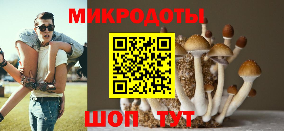 Псилоцибиновые грибы ЛСД Братск